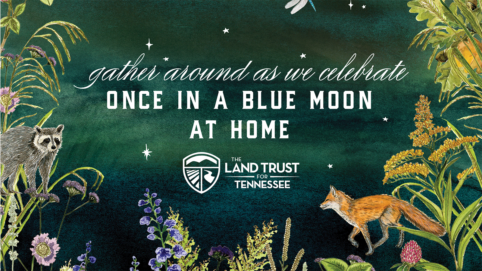 Once in a Blue Moon The Land Trust For Tennessee The Land Trust For