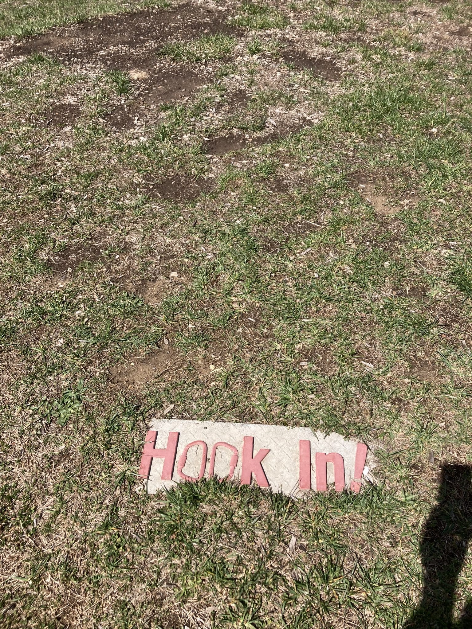 Learn more about the Tree Toppers.