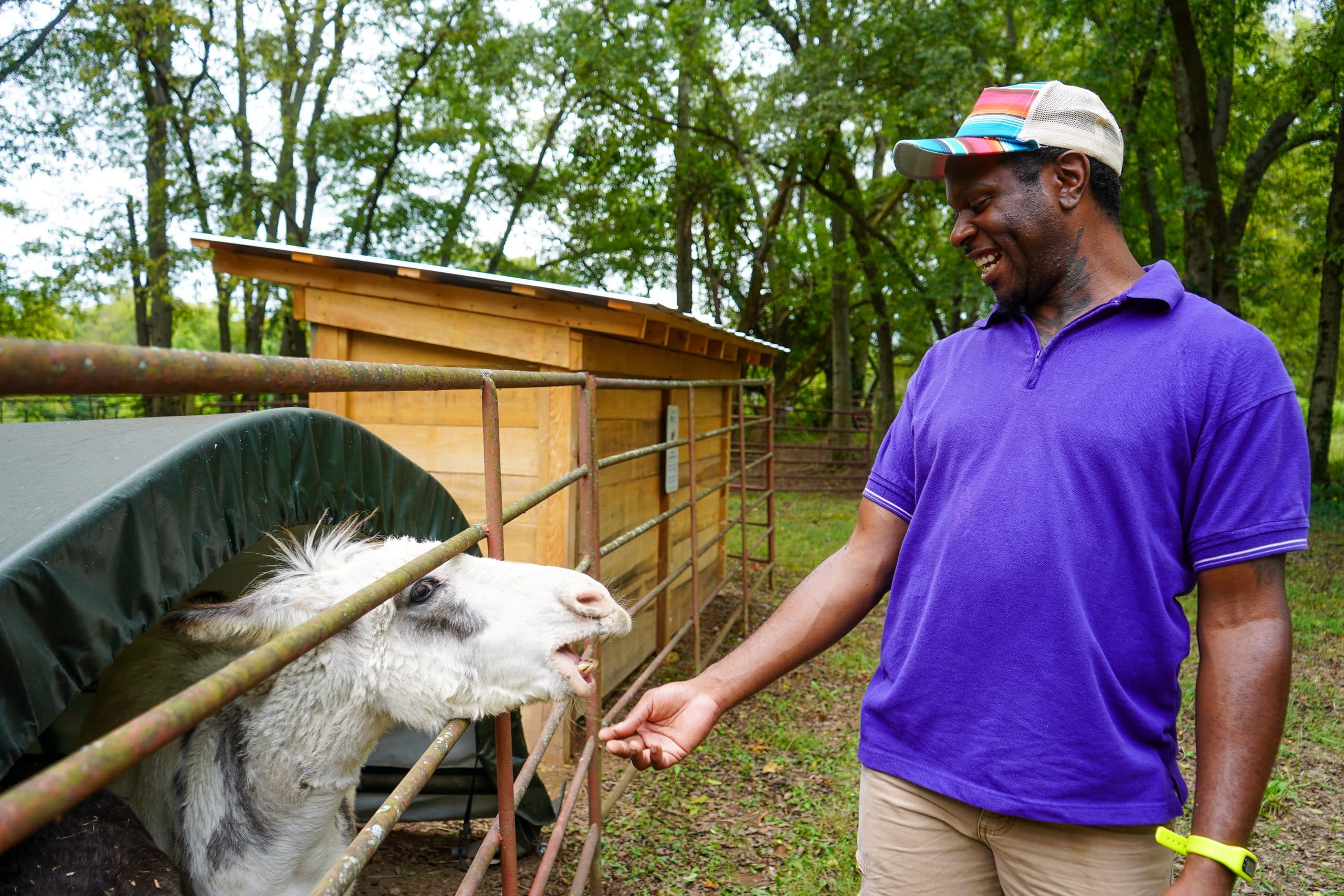 Glen Leven Farm Events & Tours - The Land Trust For TennesseeGlen Leven Farm Events & Tours %%page%% %%sep%% %%sitename%% | The Land Trust For Tennessee