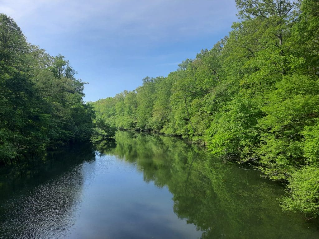 Floodplains allow rivers to overflow and prevent damaging flooding.