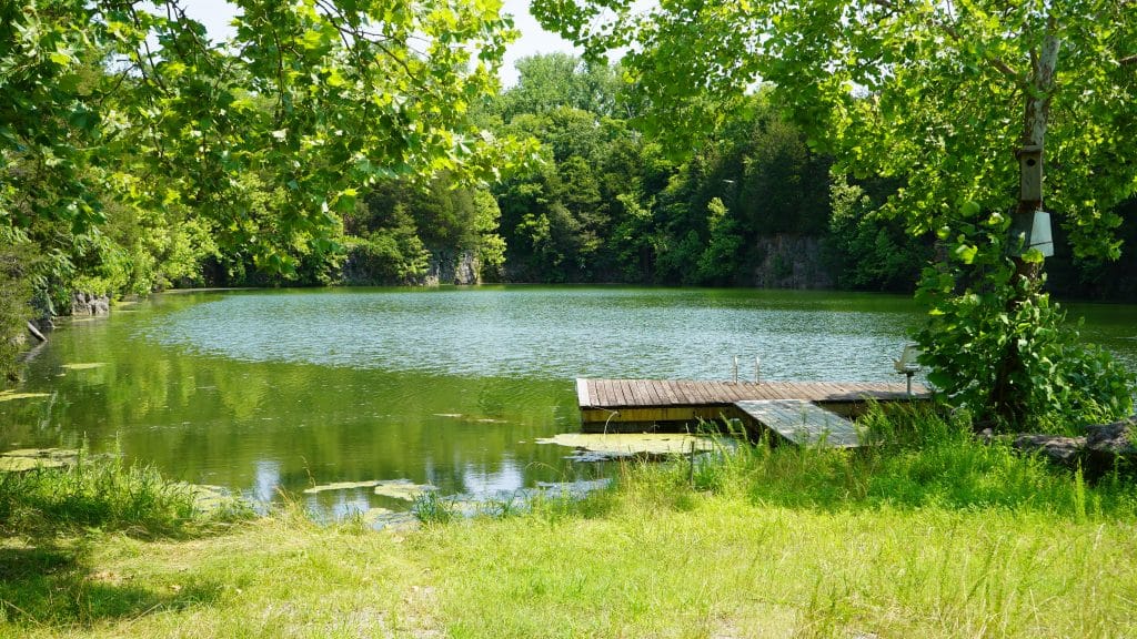 Wetlands act as sponges to prevent flooding.